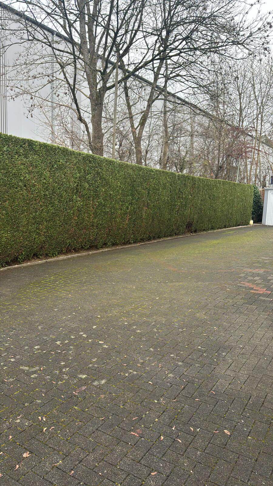 Zhuta Gartenbau Referenz 10