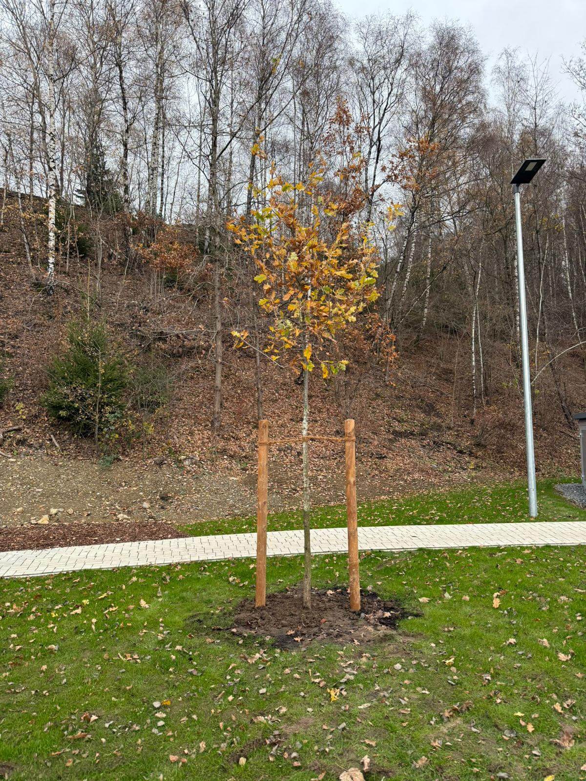 Zhuta Gartenbau Referenz 13