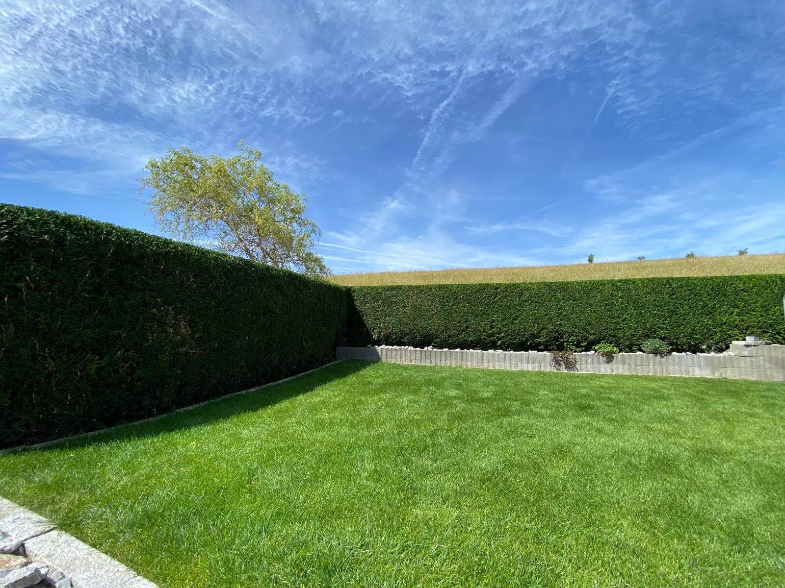 Zhuta Gartenbau Referenz 16