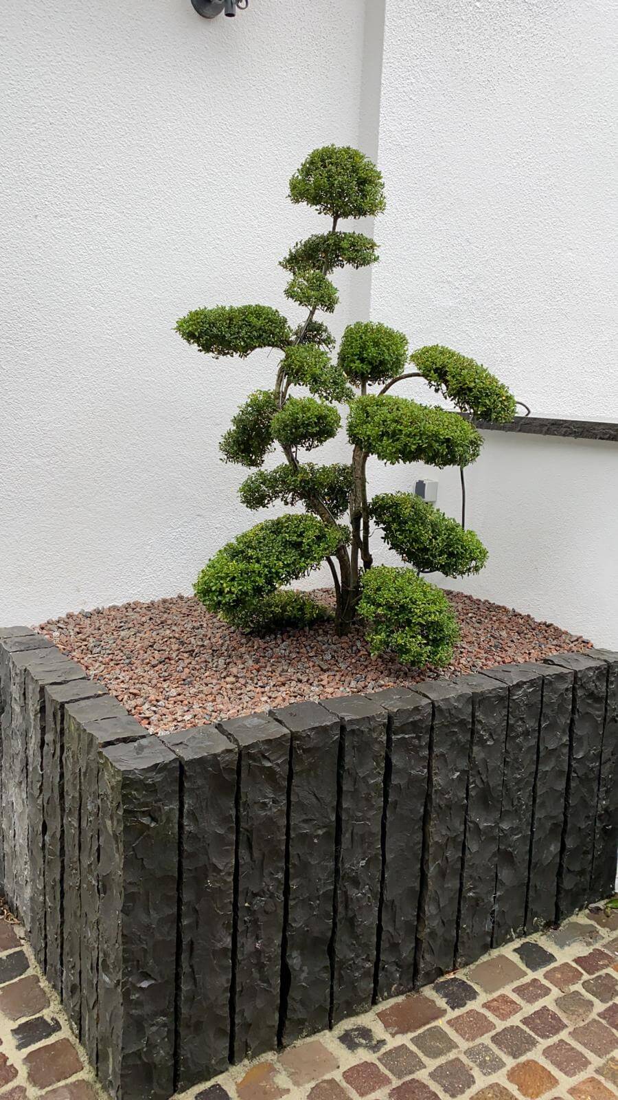 Zhuta Gartenbau Referenz 17