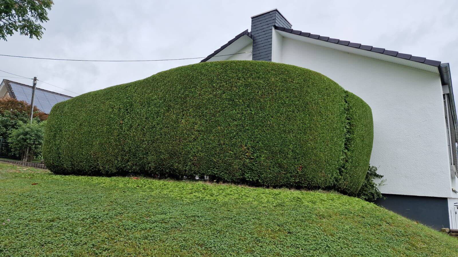 Zhuta Gartenbau Referenz 19