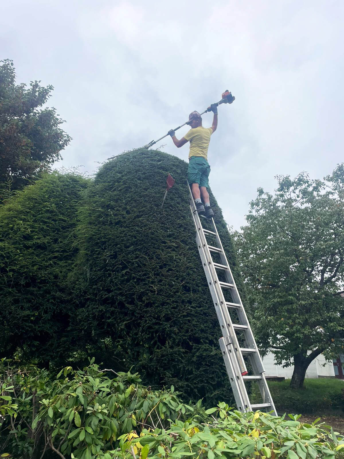 Zhuta Gartenbau Referenz 2