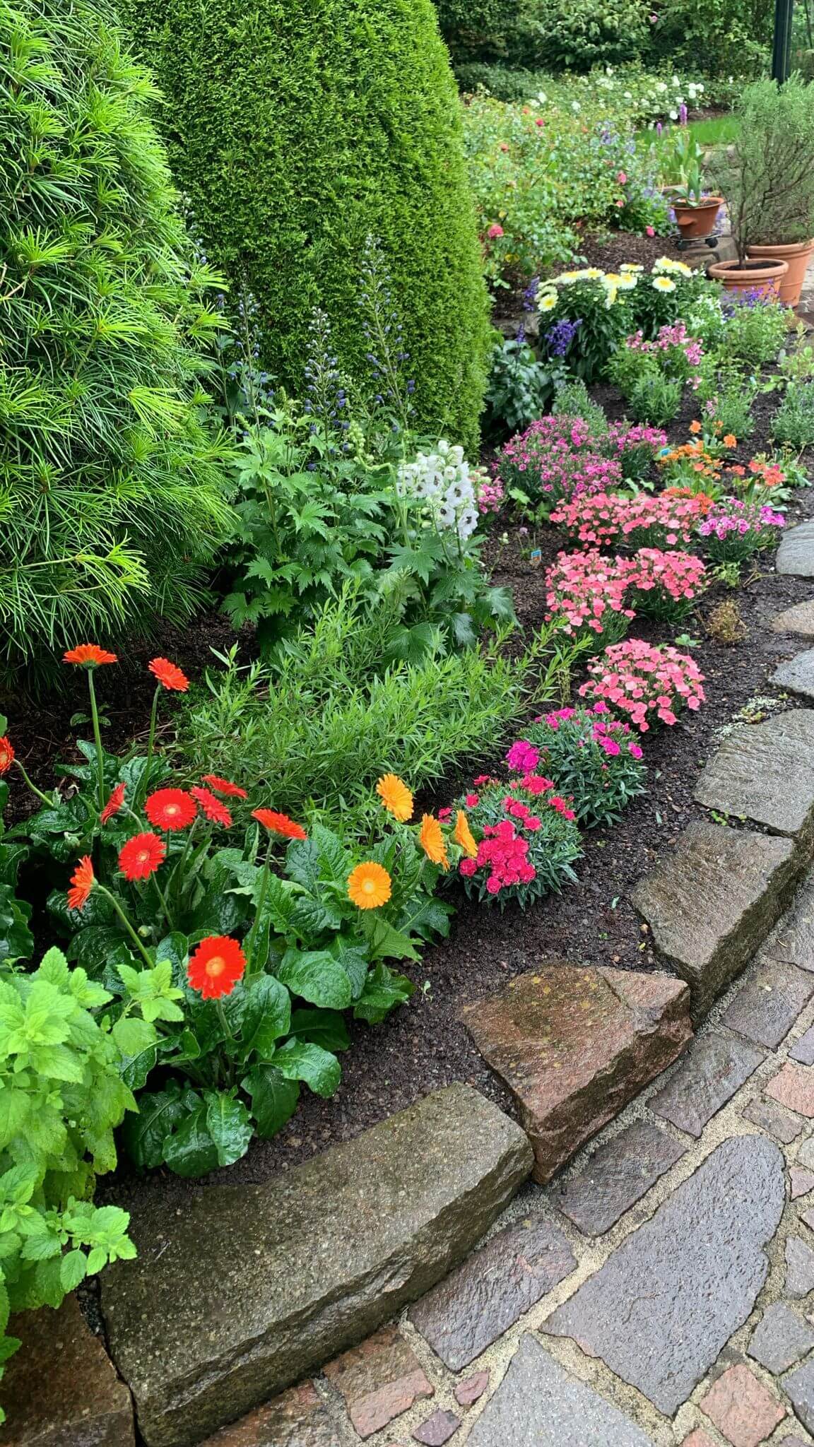 Zhuta Gartenbau Referenz 20