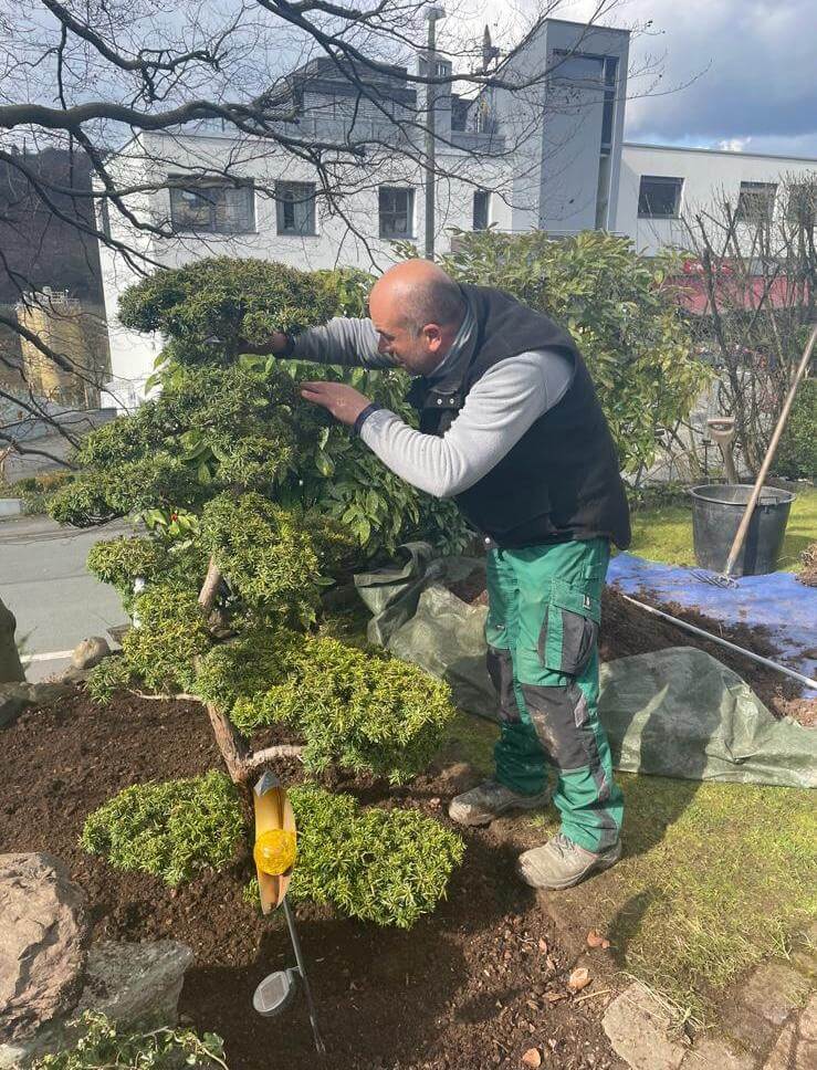 Zhuta Gartenbau Referenz 23