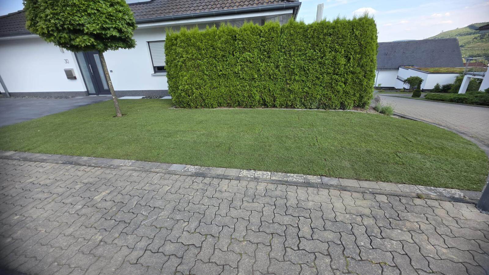 Zhuta Gartenbau Referenz 3