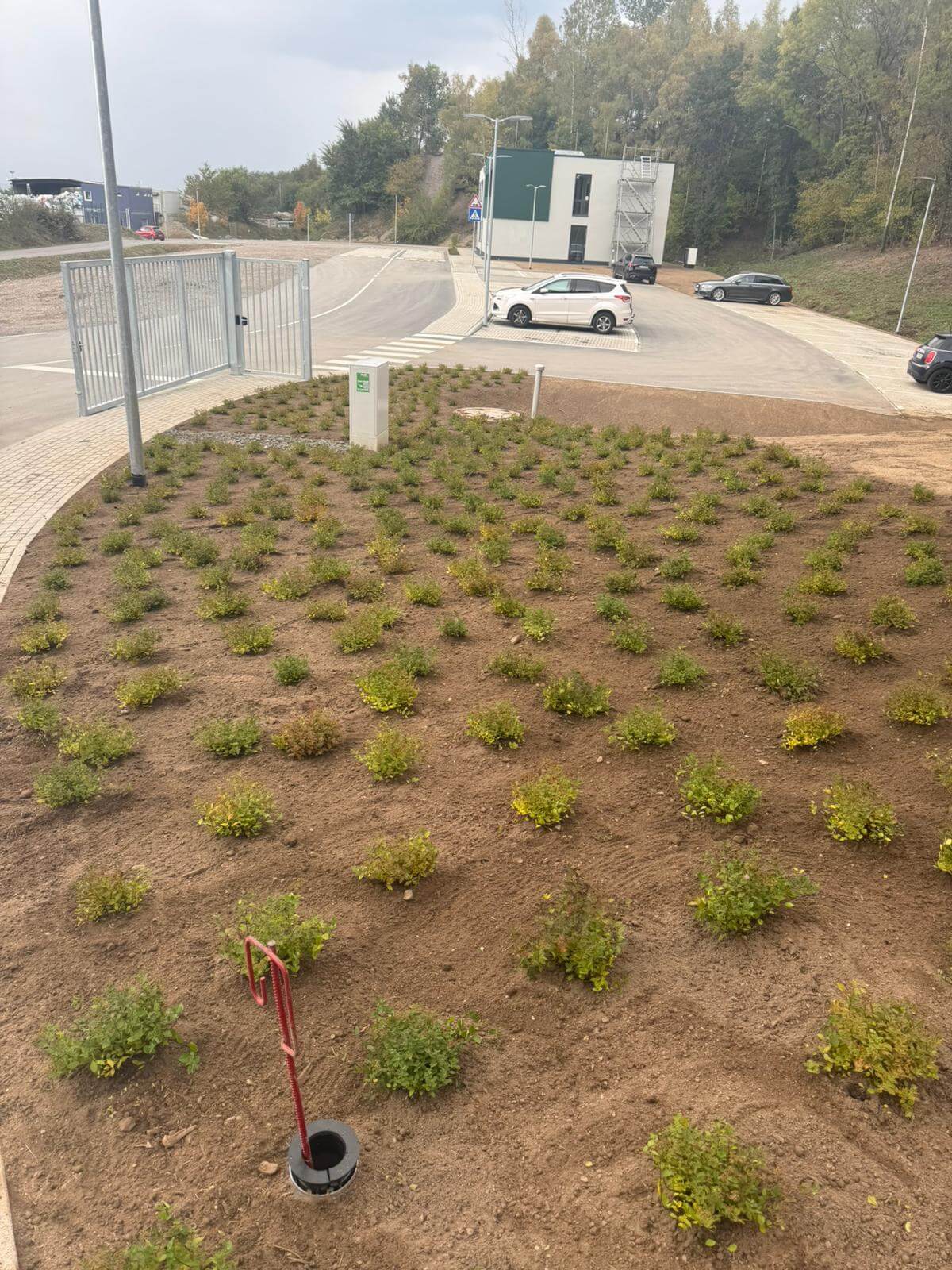 Zhuta Gartenbau Referenz 7