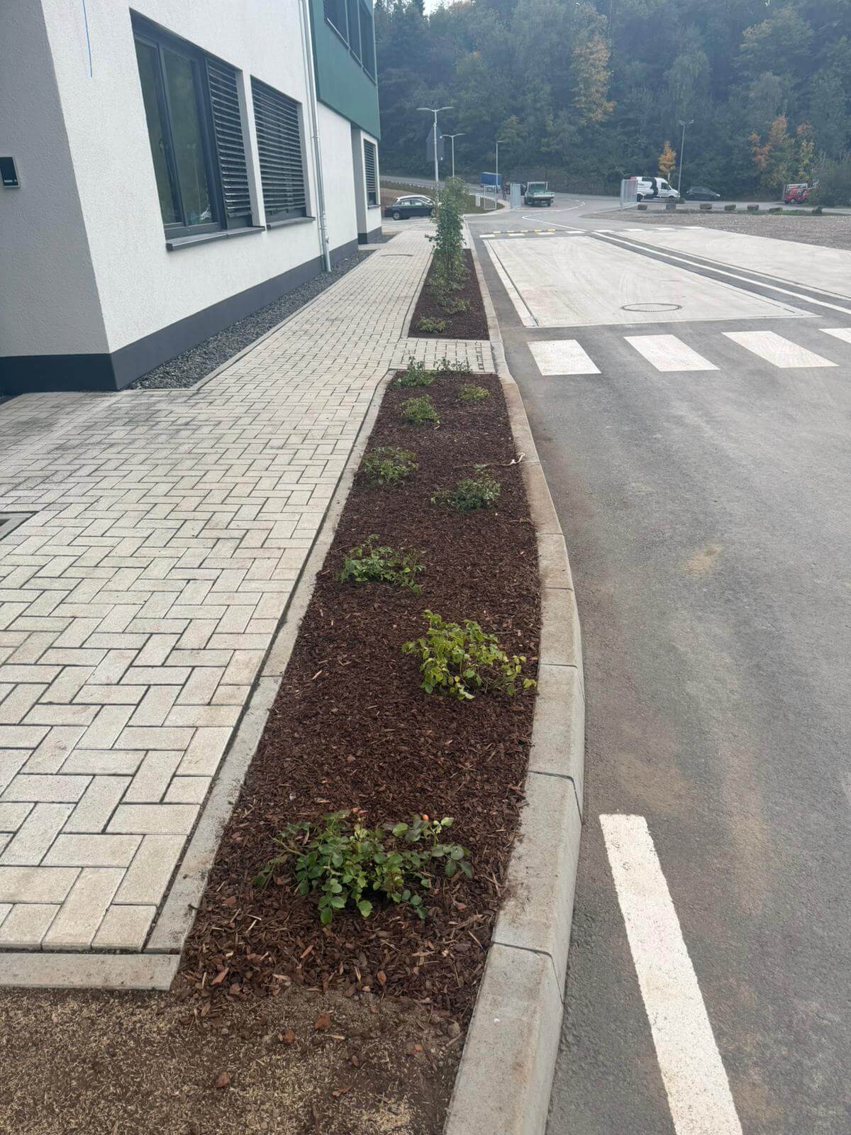 Zhuta Gartenbau Referenz 8